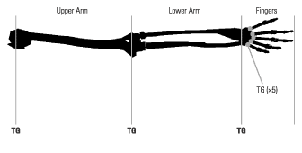 Figure 4.13